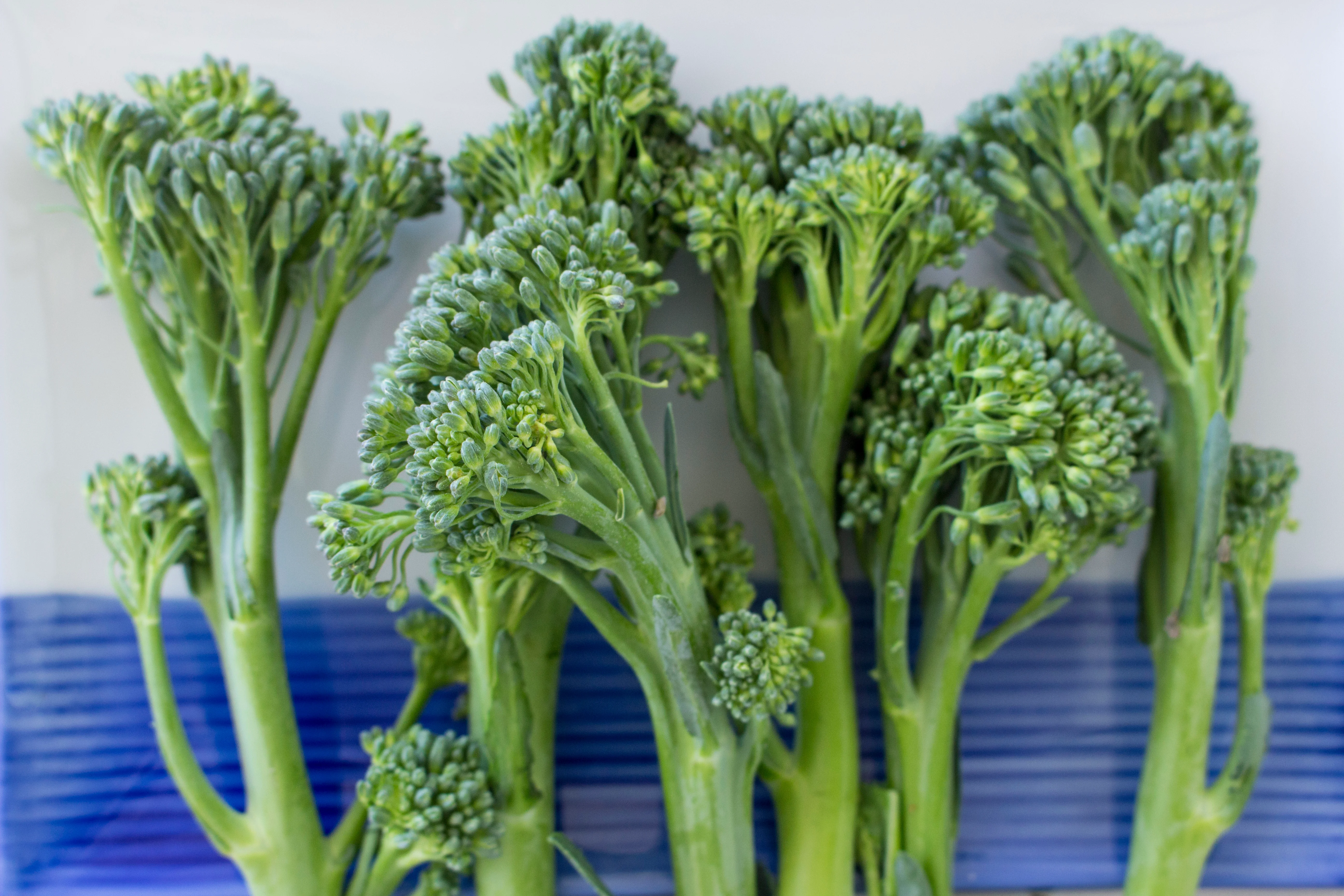 Broccolini