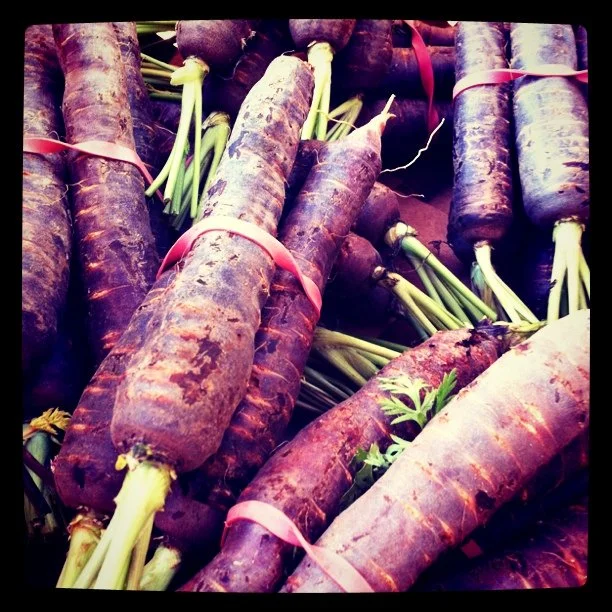 Cosmic Purple Carrot
