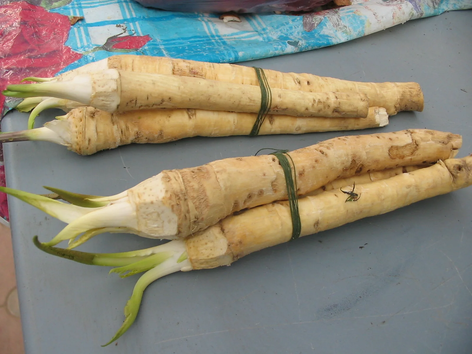 Horseradish