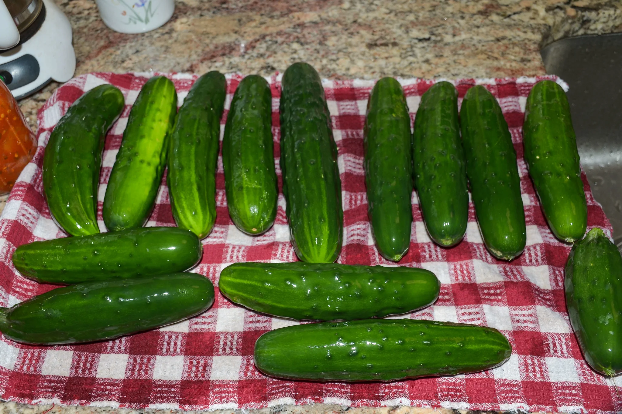 Marketmore 76 Cucumber