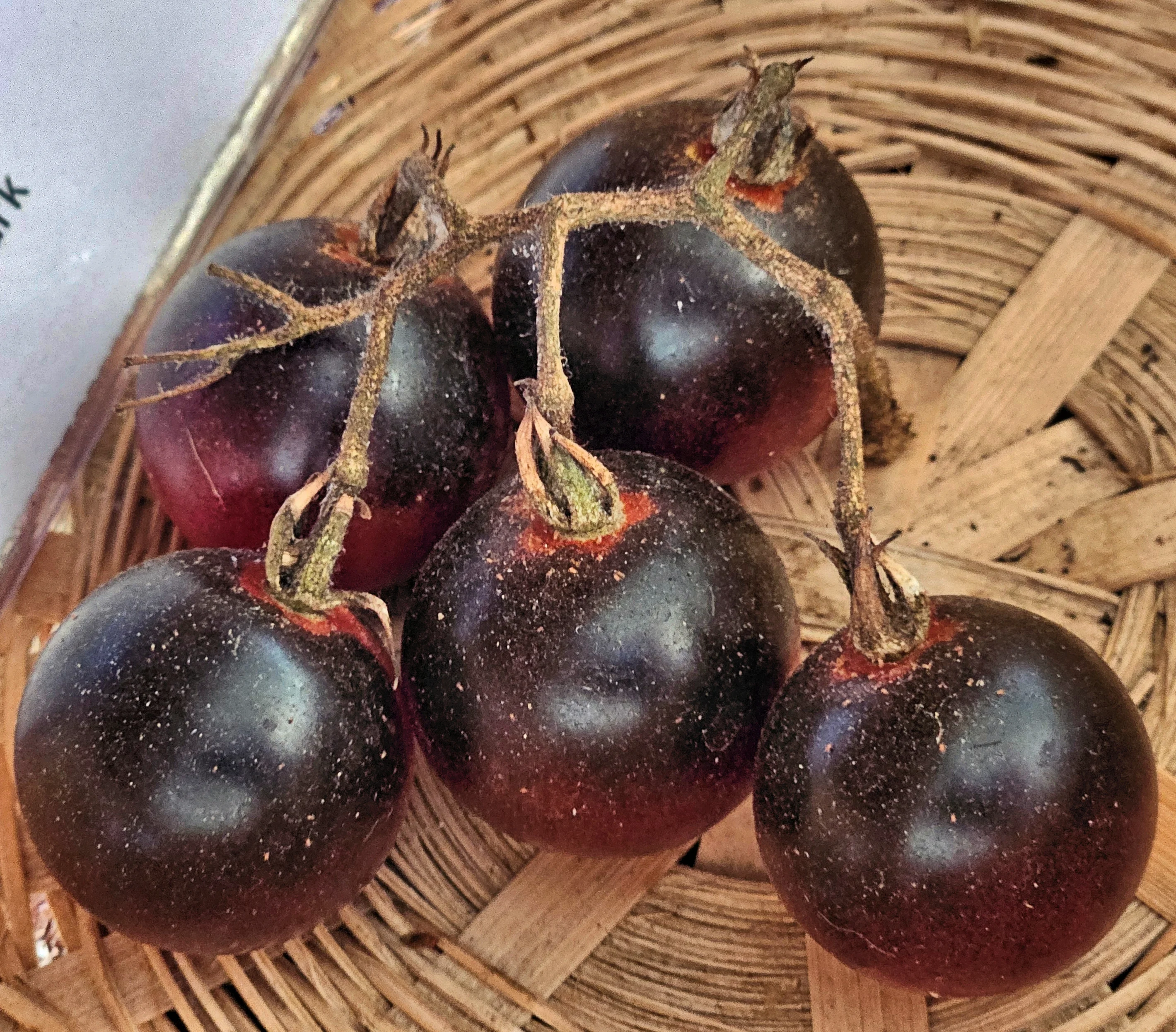 Midnight Snack Tomato