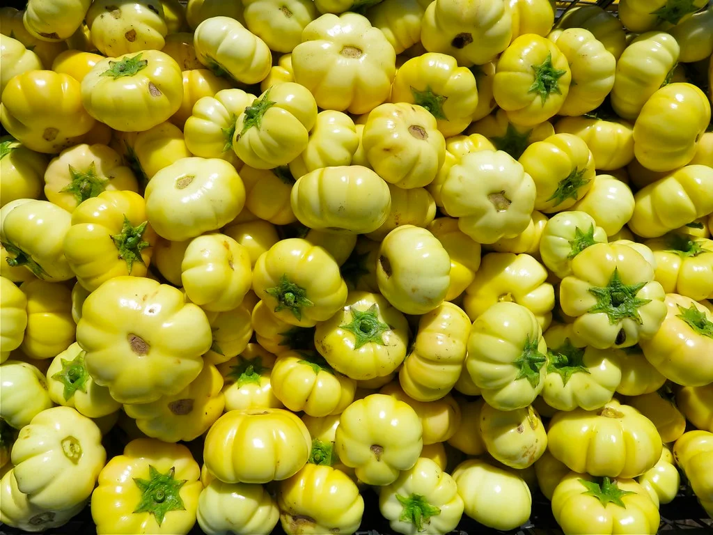 Pattypan Squash