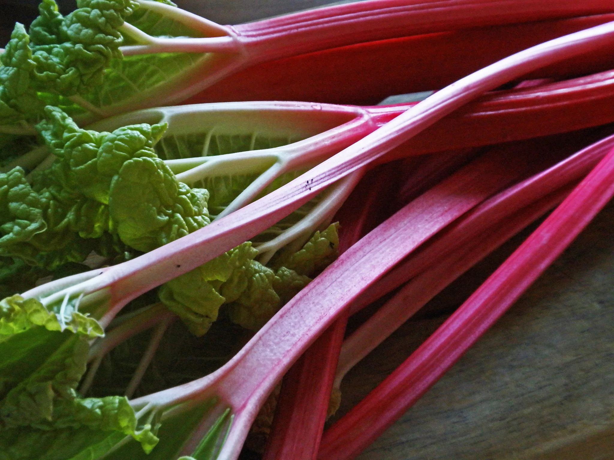 Rhubarb