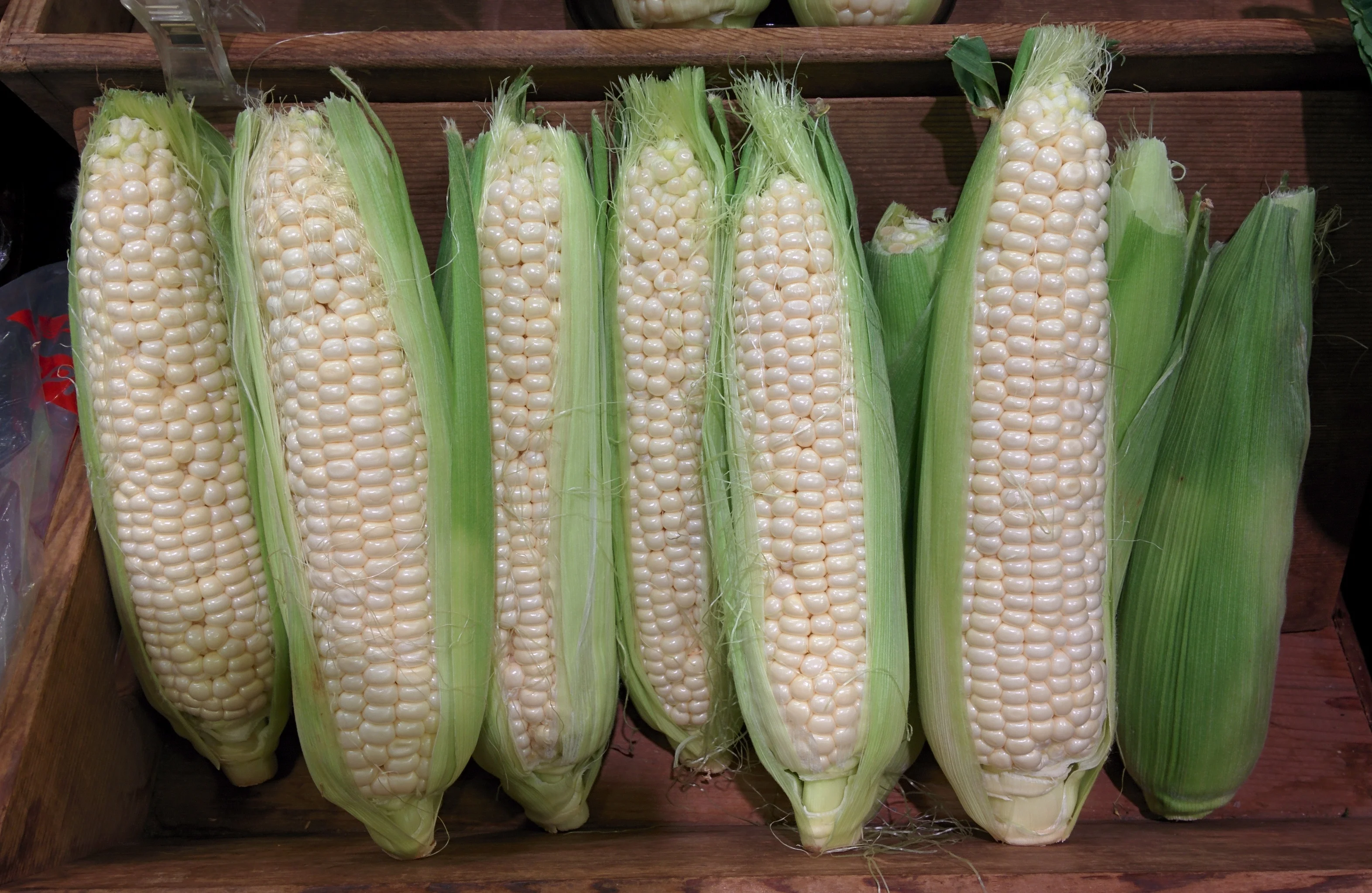 Silver Queen Sweet Corn