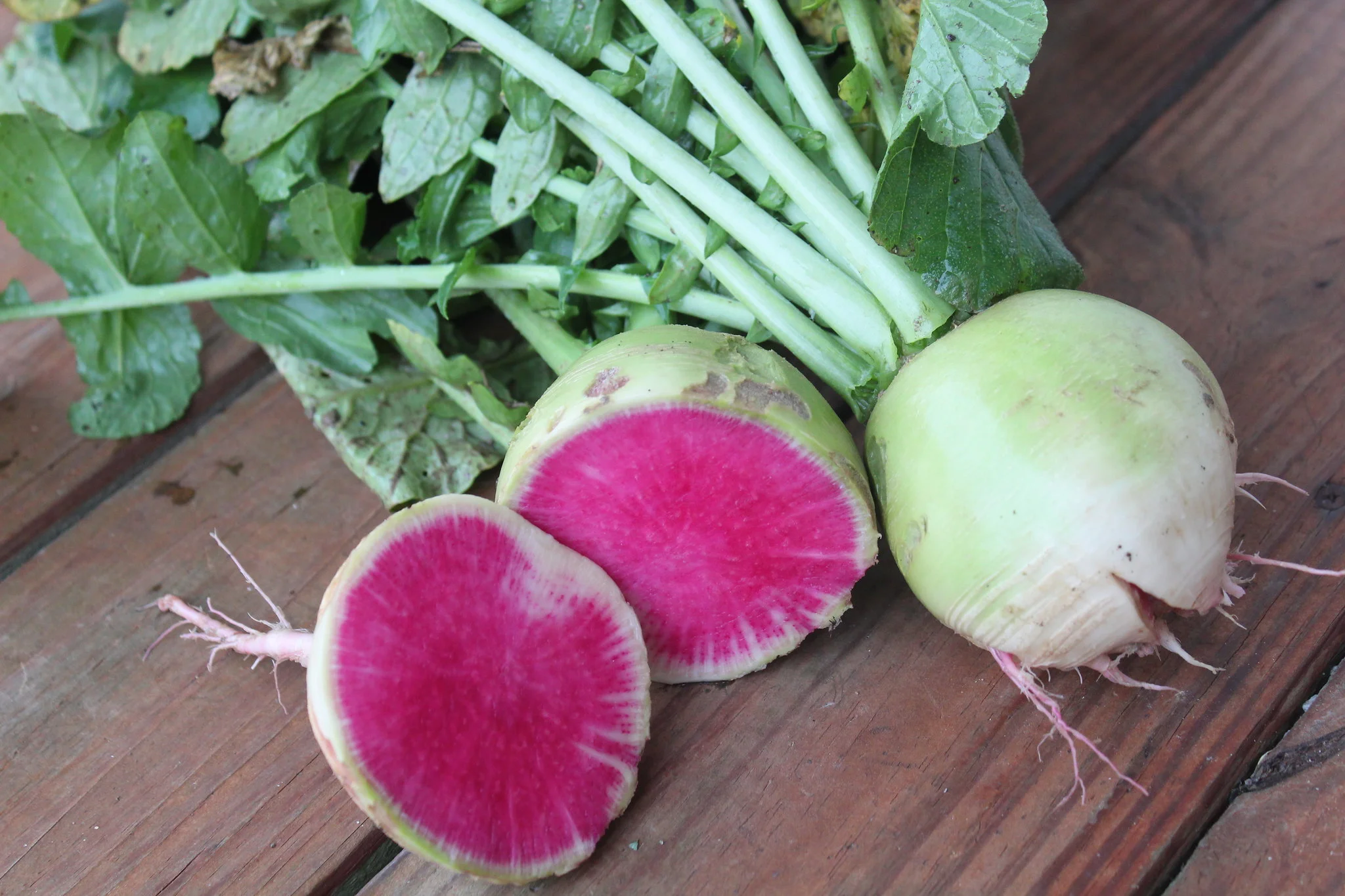 Watermelon Radish